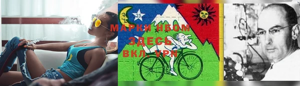 бошки Алзамай