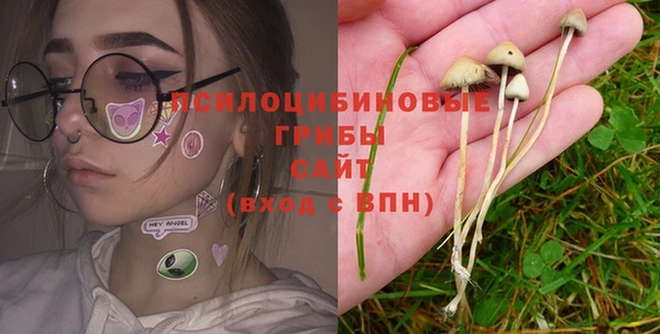 бошки Алзамай