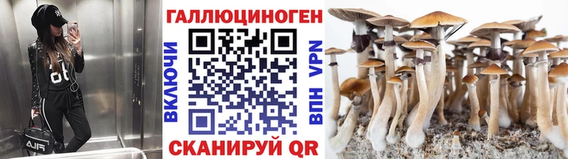 Псилоцибиновые грибы Magic Shrooms Удомля