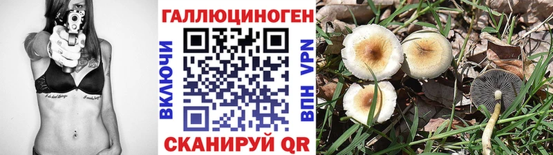 Галлюциногенные грибы Psilocybe Удомля