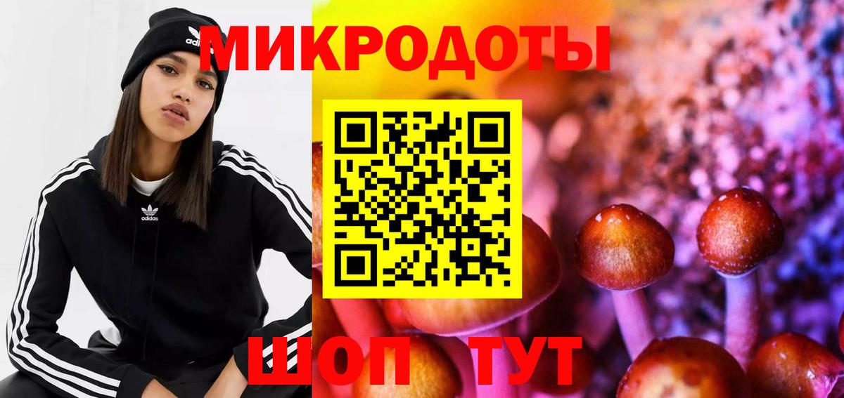 Удомля  Галлюциногенные грибы GOLDEN TEACHER  Галлюциногенные грибы Psilocybine cubensis  Вход с VPN 