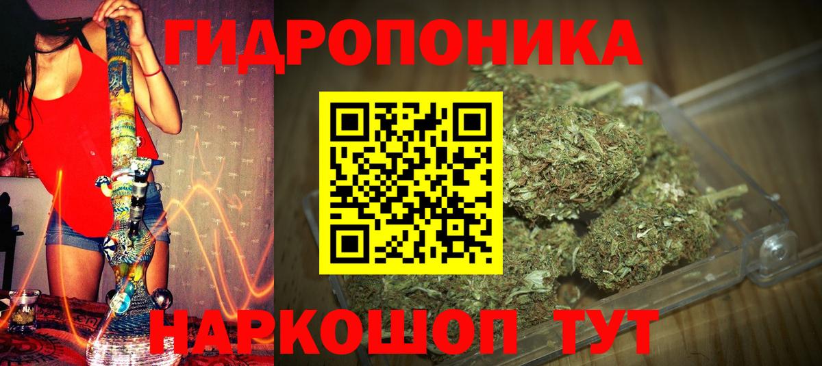 Бошки марихуана марихуана Удомля